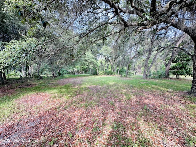417 2nd Ave, Satsuma, FL 32189 - view of yard with a wooded view