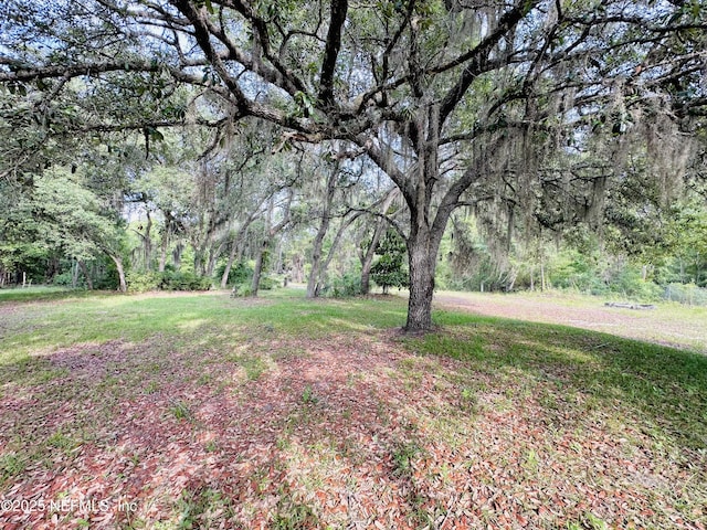 417 2nd Ave, Satsuma, FL 32189 - view of grassy yard featuring a wooded view