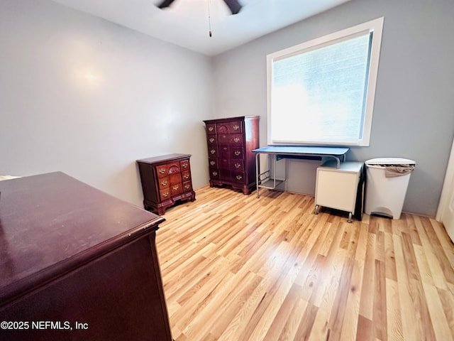 417 2nd Ave, Satsuma, FL 32189 - office space with a ceiling fan and wood finished floors