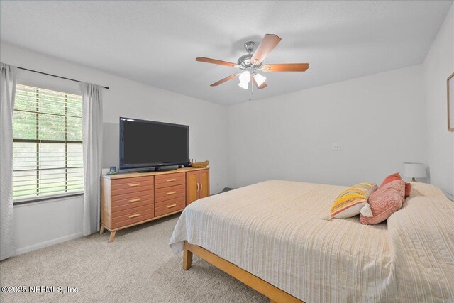 119 Pine Oak Dr, Palatka, FL 32177 - photo 20