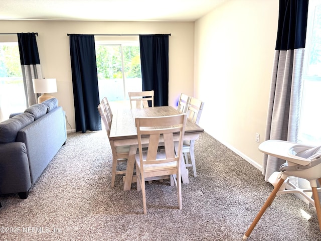 126 Falcon Ridge Rd, Saint Augustine, FL 32084 - view of carpeted dining area