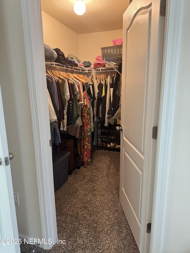 126 Falcon Ridge Rd, Saint Augustine, FL 32084 - spacious closet featuring carpet floors