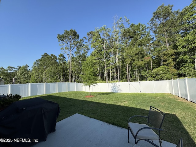 126 Falcon Ridge Rd, Saint Augustine, FL 32084 - fenced backyard with a patio