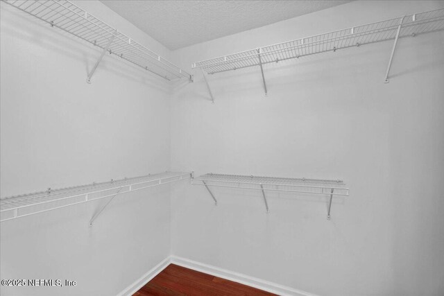 8681 Canopy Oaks Dr, Jacksonville, FL 32256 - spacious closet featuring dark wood finished floors