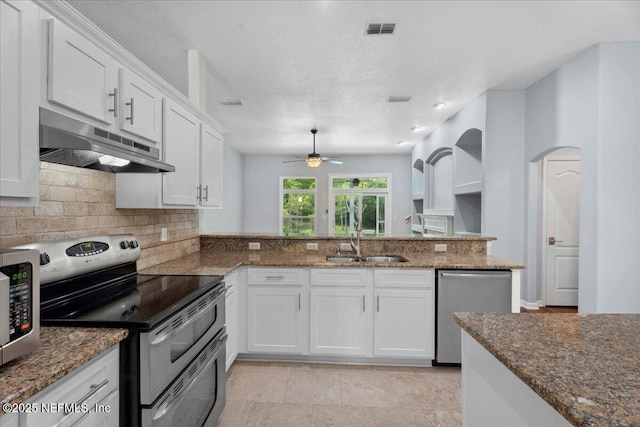 8681 Canopy Oaks Dr, Jacksonville, FL 32256 - kitchen with appliances with stainless steel finishes, under cabinet range hood, a sink, a ceiling fan, and tasteful backsplash