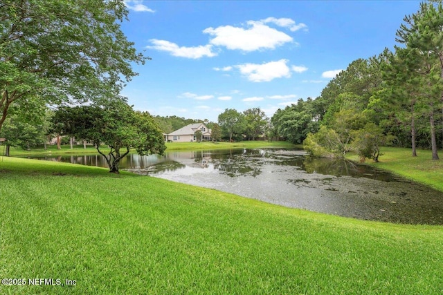 8681 Canopy Oaks Dr, Jacksonville, FL 32256 - water view