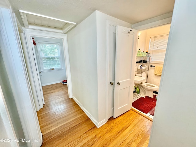 1966 Lakewood Cir S, Jacksonville, FL 32207 - corridor featuring light wood-type flooring and baseboards