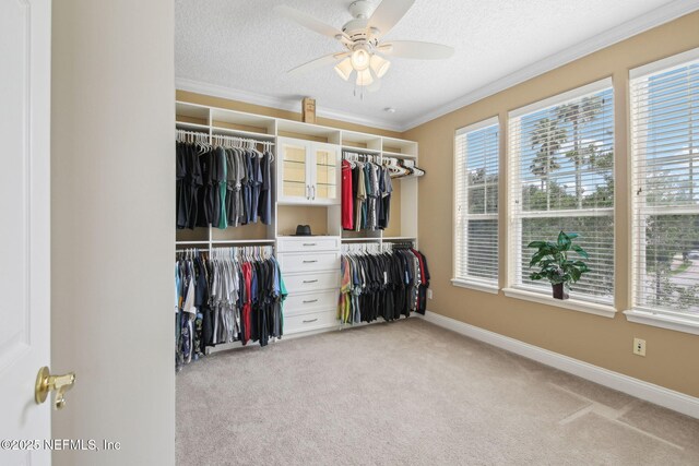 400 Central St, Saint Augustine, FL 32095 - photo 28