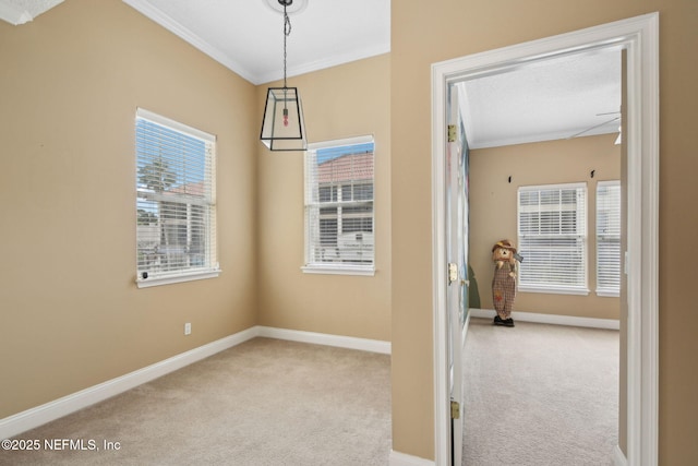 400 Central St, Saint Augustine, FL 32095 - photo 40