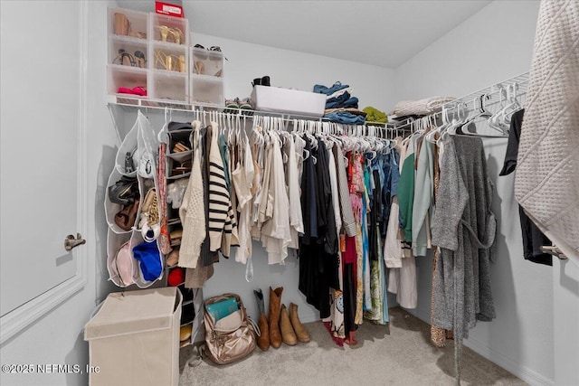 1976 Red Loop, Lakeland, FL 33801 - walk in closet with carpet flooring