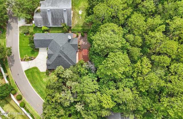 1109 Pine Mill Ln, Ponte Vedra Beach, FL 32082 - aerial view of property and surrounding area