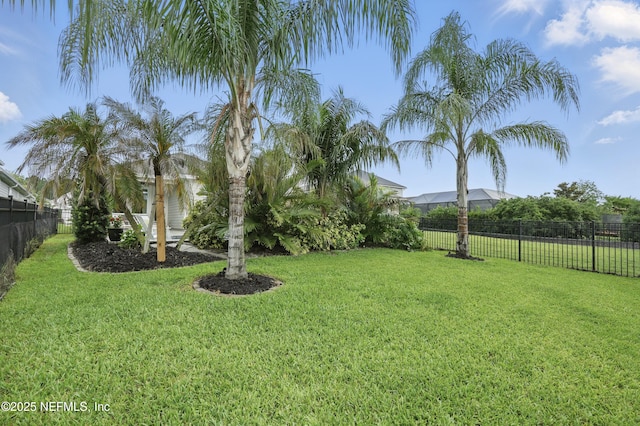 48 Foxcross Ave, Saint Augustine, FL 32092 - view of yard