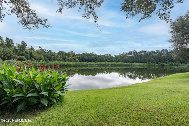 612 Chestwood Chase Dr, Orange Park, FL 32065 - photo 41