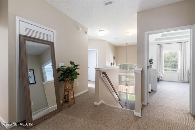 612 Chestwood Chase Dr, Orange Park, FL 32065 - photo 23