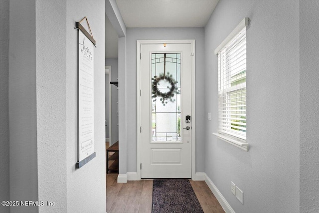 46 Killarney Ave, Saint Johns, FL 32259 - entryway with wood finished floors, plenty of natural light, and baseboards