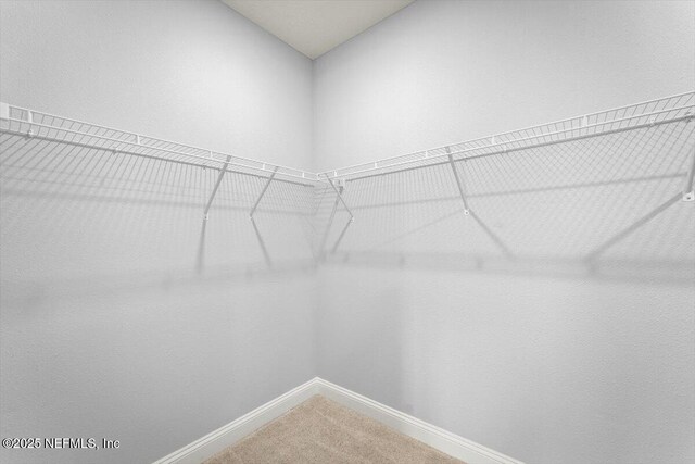 46 Killarney Ave, Saint Johns, FL 32259 - spacious closet featuring light carpet