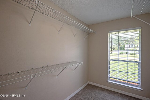 9 Ripple Pl, Palm Coast, FL 32164 - photo 26