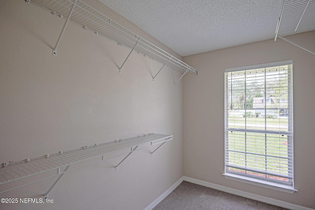 9 Ripple Pl, Palm Coast, FL 32164 - photo 79