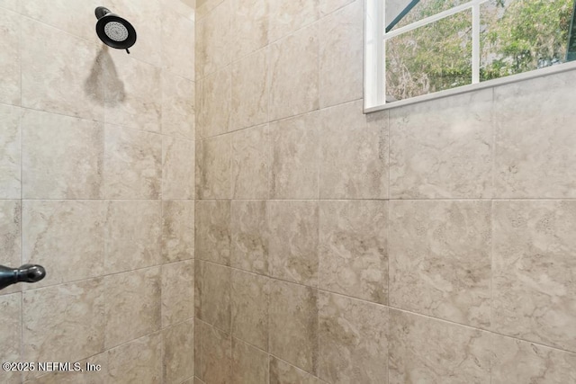 69 Bridle Ridge Ct, Flagler Beach, FL 32136 - bathroom view of tiled shower
