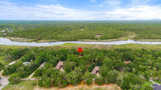 69 Bridle Ridge Ct, Flagler Beach, FL 32136 - view of property location featuring a forest and a nearby body of water