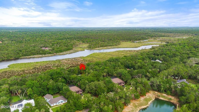 69 Bridle Ridge Ct, Flagler Beach, FL 32136 - aerial overview of property's location with a heavily wooded area and a nearby body of water