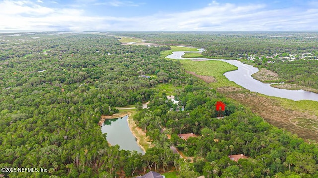 69 Bridle Ridge Ct, Flagler Beach, FL 32136 - aerial view of property's location featuring a forest and a nearby body of water