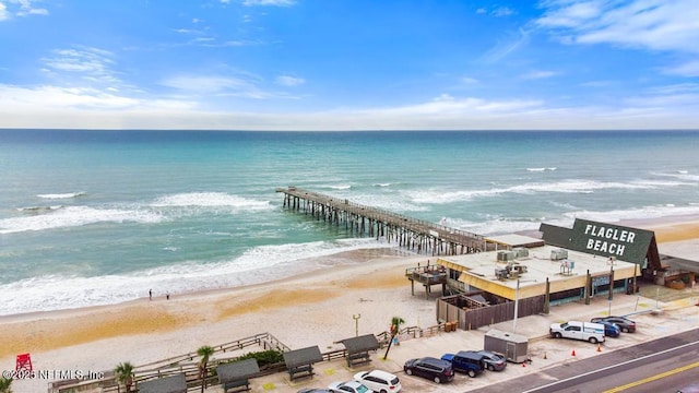 69 Bridle Ridge Ct, Flagler Beach, FL 32136 - aerial view of waterfront with a beach