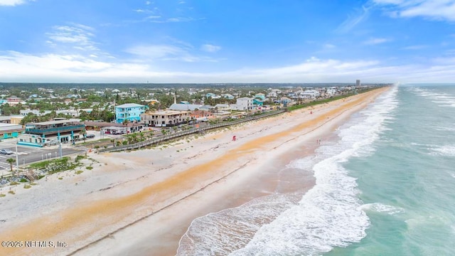 69 Bridle Ridge Ct, Flagler Beach, FL 32136 - aerial view of unending shoreline
