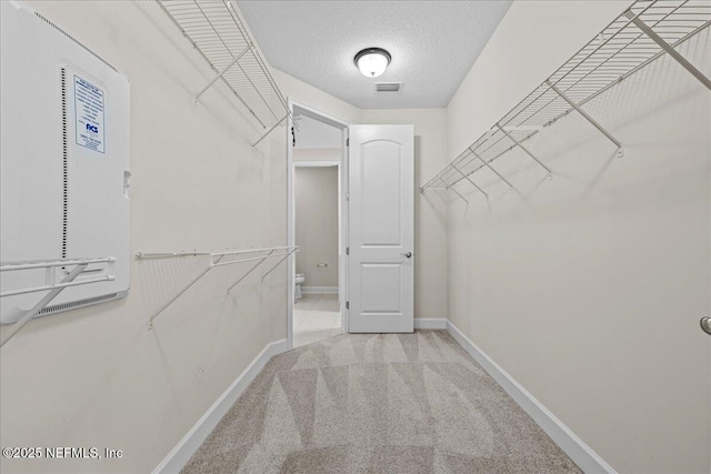 27 Shady Lake Ct, Saint Augustine, FL 32095 - spacious closet with carpet floors