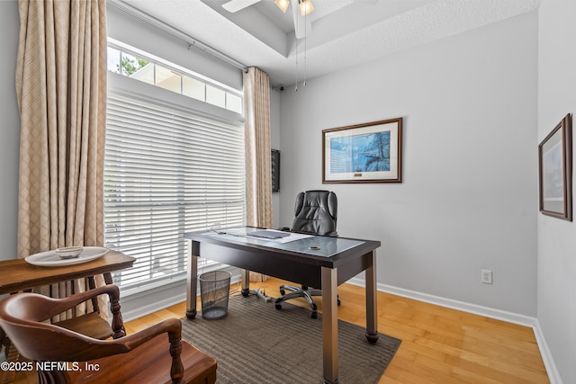4340 Comanche Trail Blvd, Saint Johns, FL 32259 - home office with wood finished floors, healthy amount of natural light, a ceiling fan, and a raised ceiling