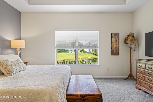 4340 Comanche Trail Blvd, Saint Johns, FL 32259 - carpeted bedroom featuring baseboards