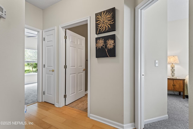 4340 Comanche Trail Blvd, Saint Johns, FL 32259 - hallway featuring light wood-style flooring and baseboards
