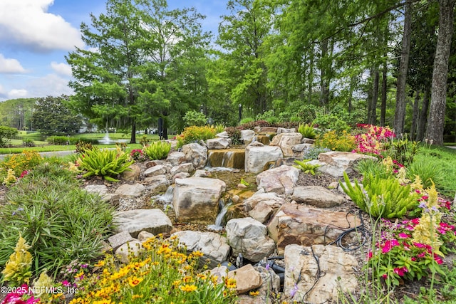 4340 Comanche Trail Blvd, Saint Johns, FL 32259 - view of yard
