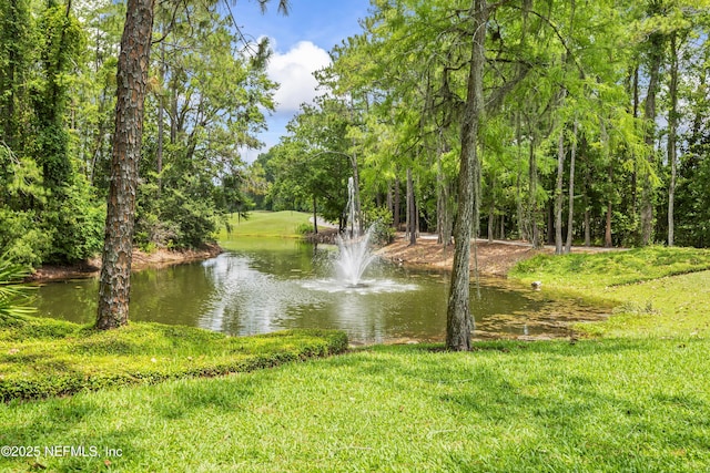 4340 Comanche Trail Blvd, Saint Johns, FL 32259 - water view