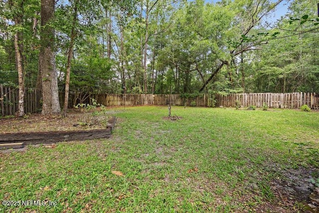 2768 N Periwinkle Ave, Middleburg, FL 32068 - view of yard