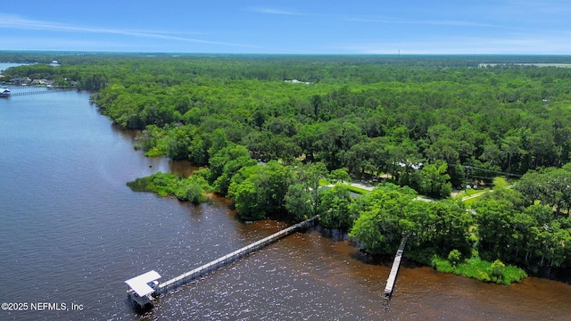 10351 County Road 13 N, Saint Augustine, FL 32092 - drone / aerial view of a heavily wooded area and a nearby body of water