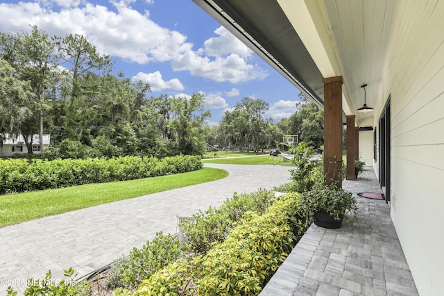10351 County Road 13 N, Saint Augustine, FL 32092 - view of patio
