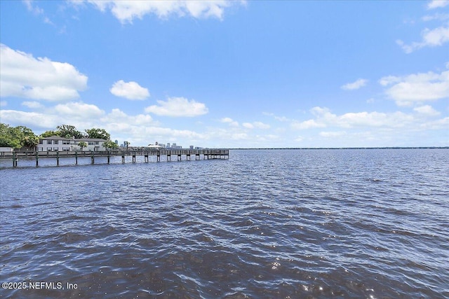 1838 Cherry St, Jacksonville, FL 32205 - dock with a water view