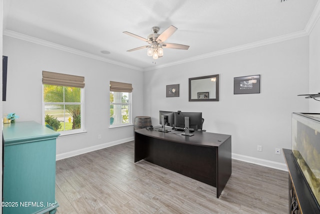607 Narrowleaf Dr, Saint Johns, FL 32259 - photo 10