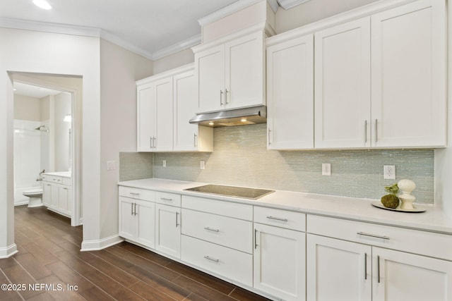 96167 Grande Oaks Ln, Fernandina Beach, FL 32034 - kitchen with under cabinet range hood, crown molding, white cabinetry, light countertops, and decorative backsplash
