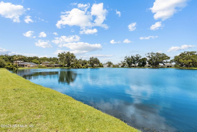 96167 Grande Oaks Ln, Fernandina Beach, FL 32034 - water view