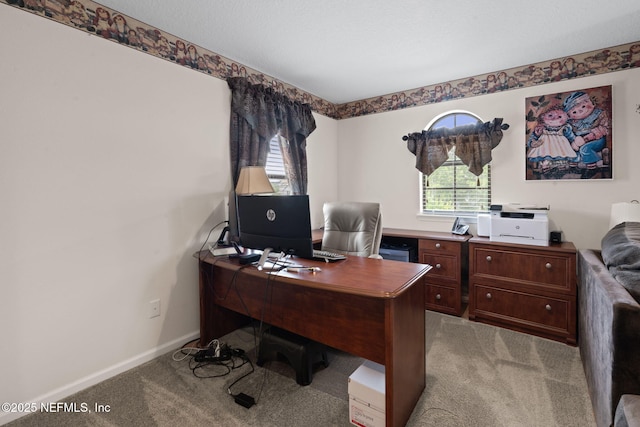 203 Buck Run Way, Saint Augustine, FL 32092 - office space with light carpet and baseboards