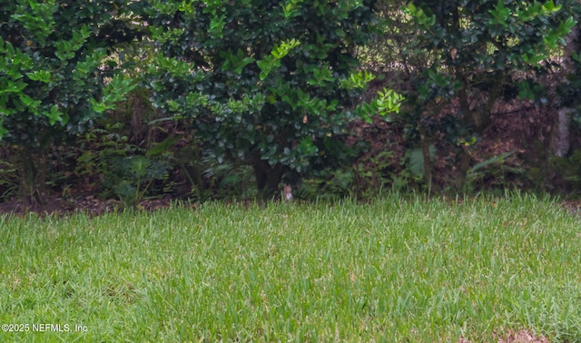 203 Buck Run Way, Saint Augustine, FL 32092 - view of nature