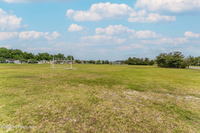 203 Buck Run Way, Saint Augustine, FL 32092 - view of yard with a sport area