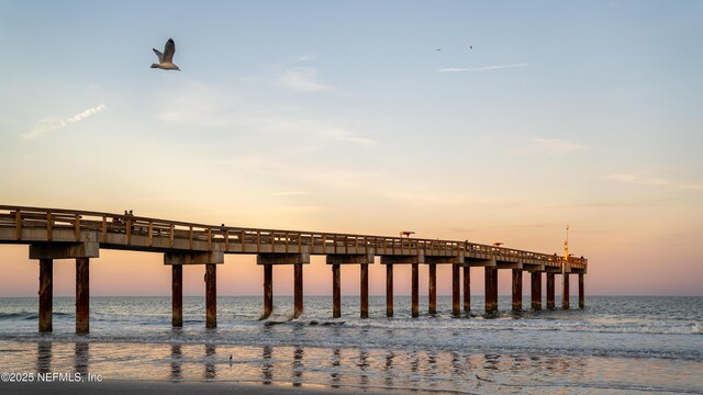 225 Atlantis Cir Unit 101-A, Saint Augustine Beach, FL 32080 - dock area featuring a pier and a water view
