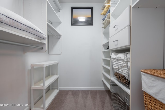 225 Atlantis Cir Unit 101-A, Saint Augustine Beach, FL 32080 - spacious closet with carpet floors
