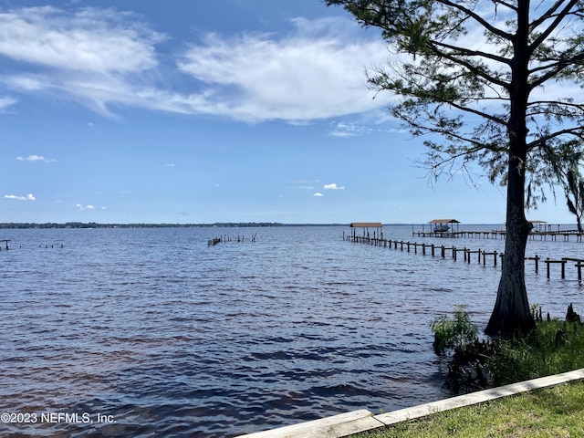 3217 River Rd, Green Cove Springs, FL 32043 - photo 53