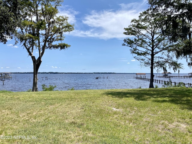 3217 River Rd, Green Cove Springs, FL 32043 - photo 54