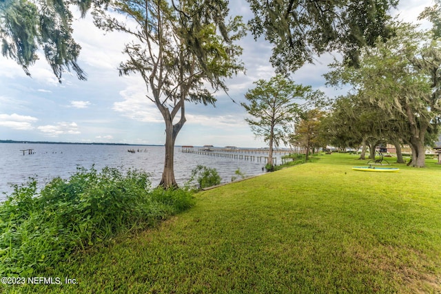 3217 River Rd, Green Cove Springs, FL 32043 - photo 56