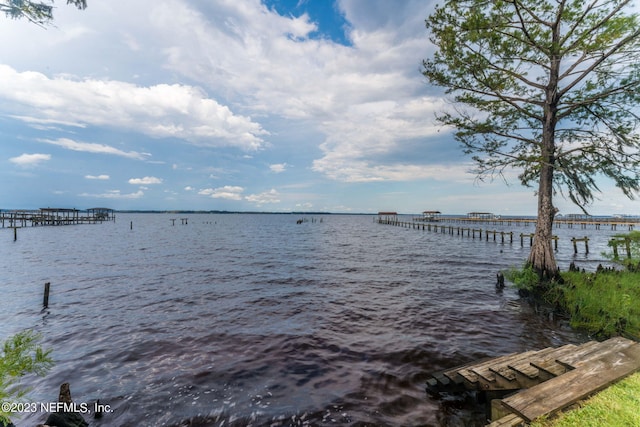3217 River Rd, Green Cove Springs, FL 32043 - photo 58